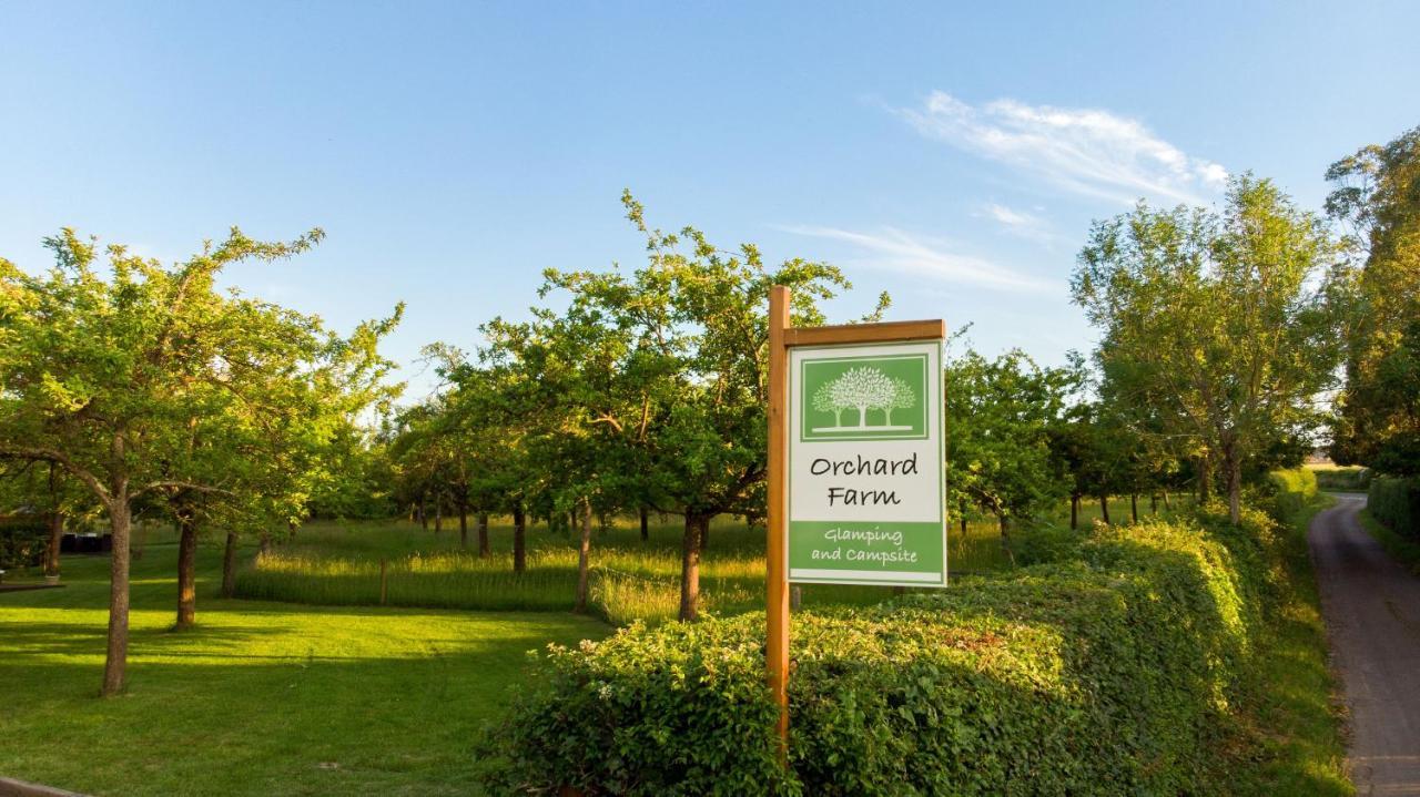 Orchard Farm Luxury Glamping And Campsite Glastonbury Ngoại thất bức ảnh