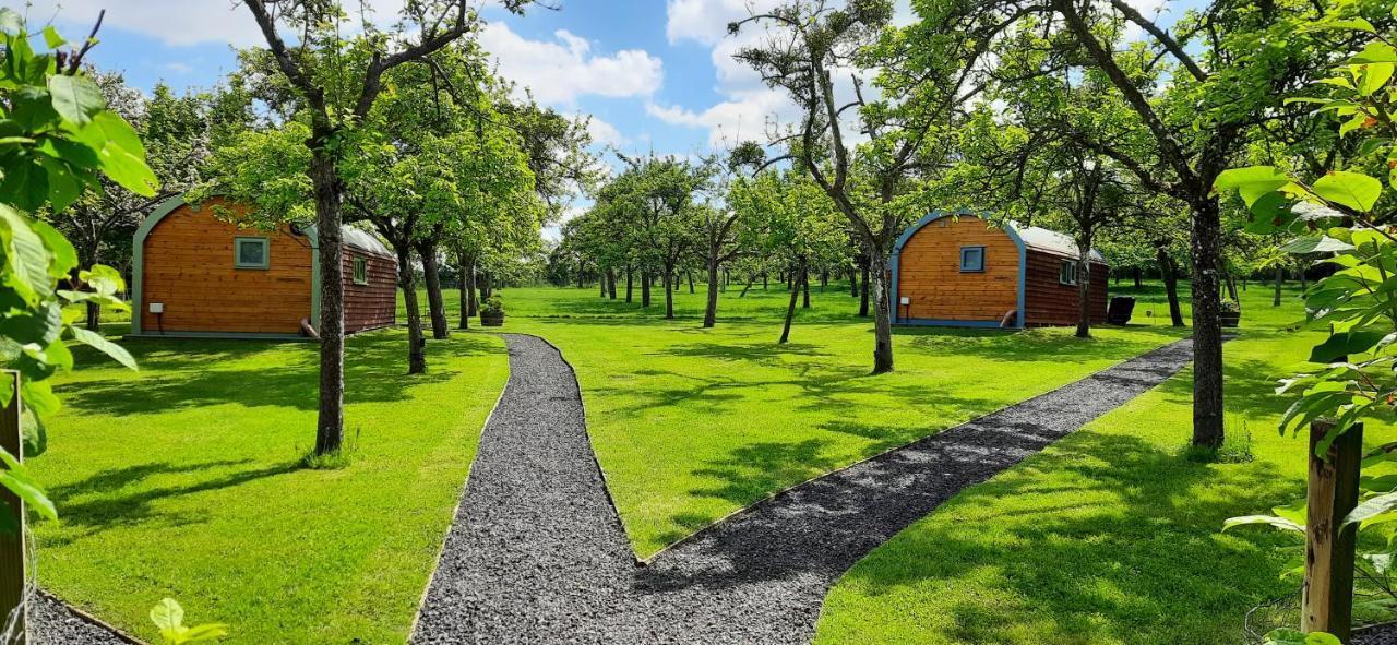 Orchard Farm Luxury Glamping And Campsite Glastonbury Ngoại thất bức ảnh