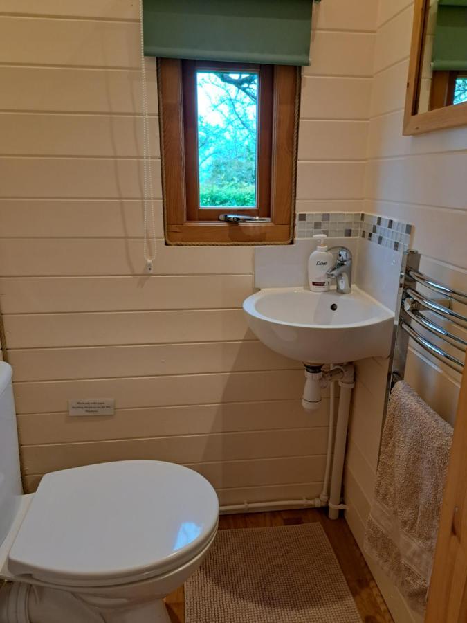 Orchard Farm Luxury Glamping And Campsite Glastonbury Ngoại thất bức ảnh
