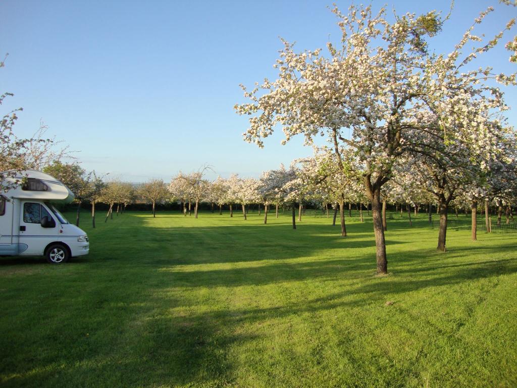 Orchard Farm Luxury Glamping And Campsite Glastonbury Ngoại thất bức ảnh