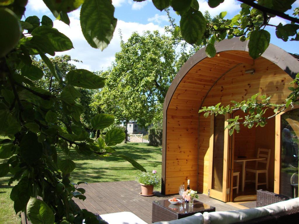 Orchard Farm Luxury Glamping And Campsite Glastonbury Ngoại thất bức ảnh