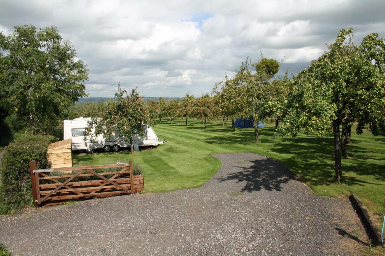 Orchard Farm Luxury Glamping And Campsite Glastonbury Ngoại thất bức ảnh